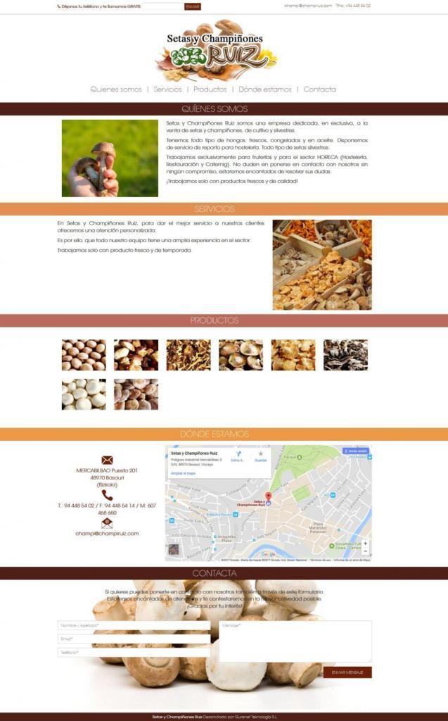 captura-champisruiz-2017-portada